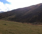 IMG_0014