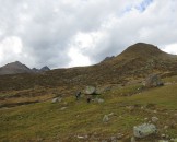 IMG_0020