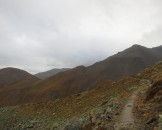 IMG_0042