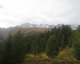 IMG_0055
