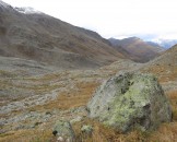 IMG_0075