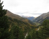 IMG_0085