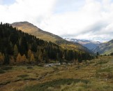 IMG_0087
