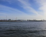 IMG_5290