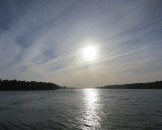 IMG_5318