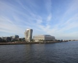 IMG_5393