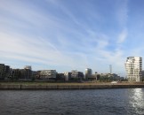 IMG_5395