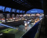 IMG_5423