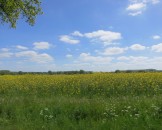 IMG_5430