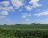 IMG_5439