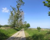 IMG_5443
