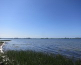 IMG_5459