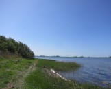 IMG_5463