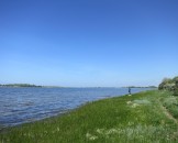 IMG_5464
