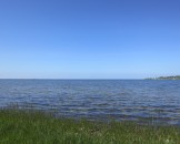 IMG_5473