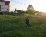 IMG_5490