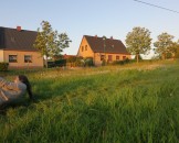 IMG_5496