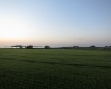 IMG_5502