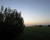 IMG_5505