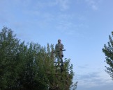 IMG_5508