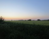 IMG_5510