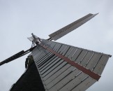 IMG_5521