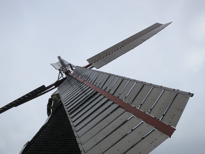 IMG_5521