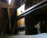 IMG_5549