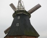 IMG_5554