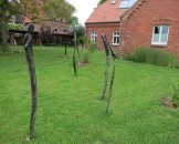 IMG_5557