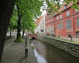 IMG_5583