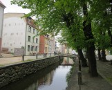 IMG_5584