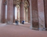 IMG_5660