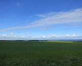 IMG_5712