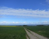 IMG_5713