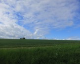 IMG_5717