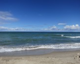 IMG_5724