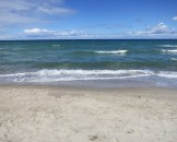 IMG_5726