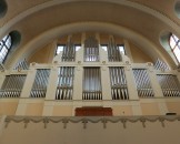IMG_5781