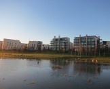 IMG_6069